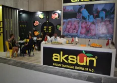 The Aksun stand was full of meetings most of the time during the exhibition